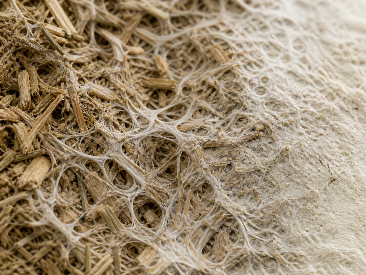 Fine white mycelial threads binding loose plant fibers into a solid material